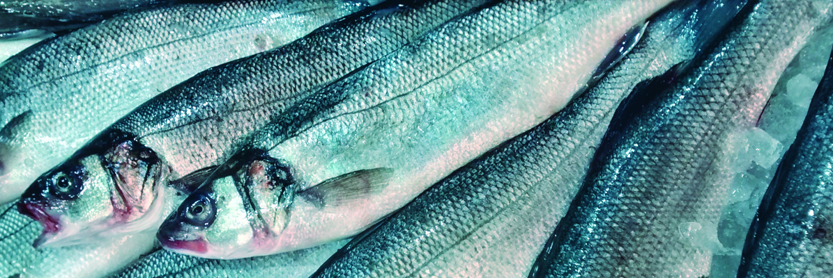pescados-la-carihuela-jurel